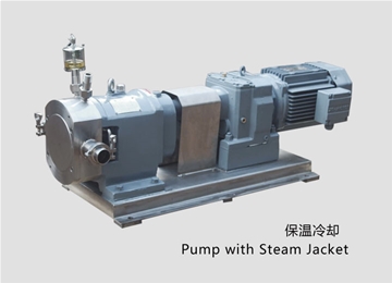 凸輪(lún)式轉子(zi)泵