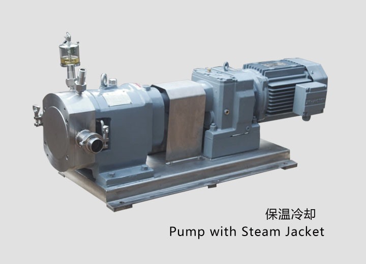 凸輪式轉子(zǐ)泵