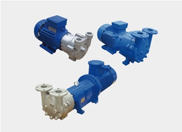 2BV系列水(shui)環式真(zhēn)空泵