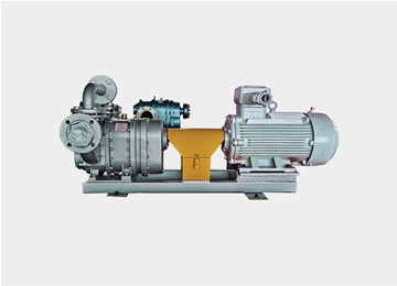 橡膠(jiāo)轉子泵