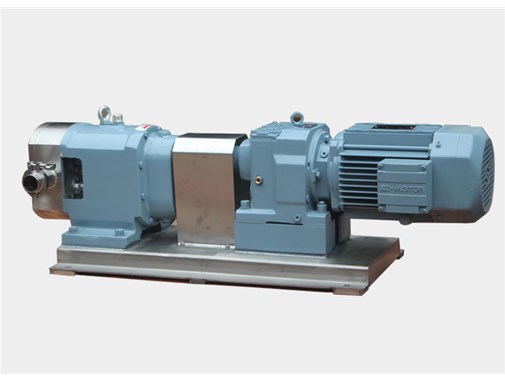 轉子(zi)泵的傳(chuán)動形式(shi)